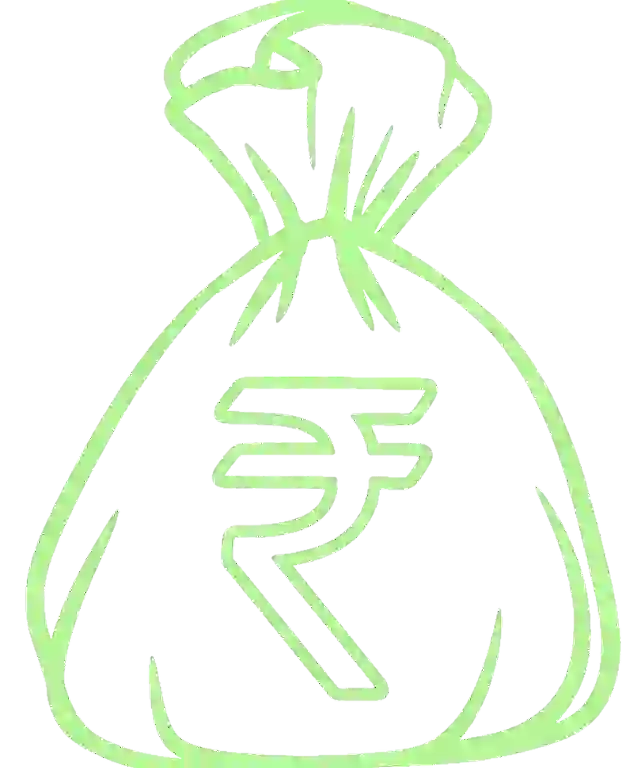 Sack Dollar Icon